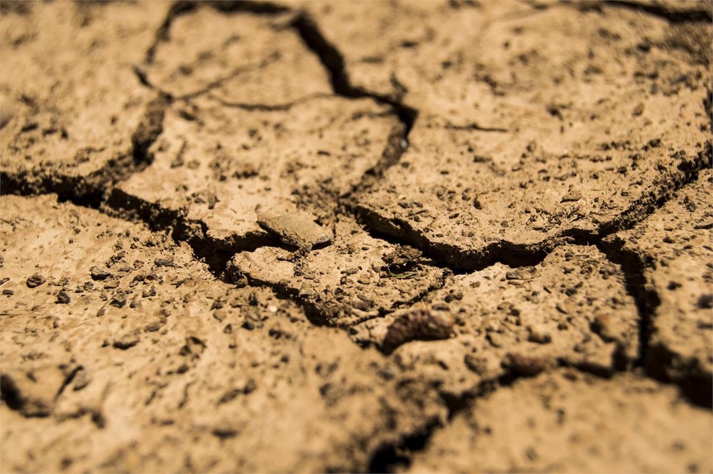 Mi terreno ha sufrido un hundimiento... ¿qué puedo hacer?